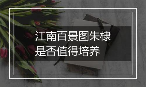 江南百景图朱棣是否值得培养