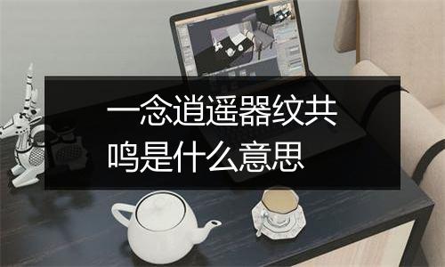 一念逍遥器纹共鸣是什么意思
