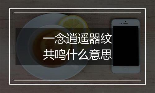 一念逍遥器纹共鸣什么意思