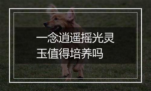 一念逍遥摇光灵玉值得培养吗
