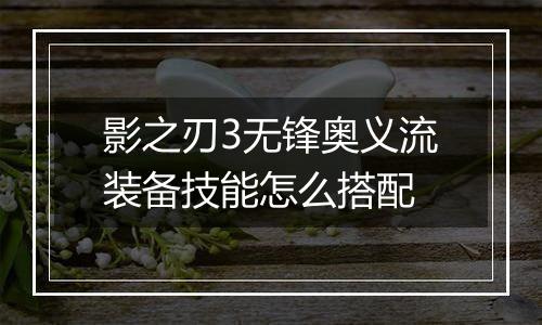 影之刃3无锋奥义流装备技能怎么搭配