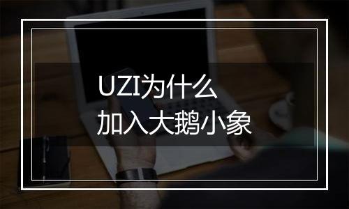 UZI为什么加入大鹅小象