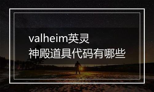 valheim英灵神殿道具代码有哪些