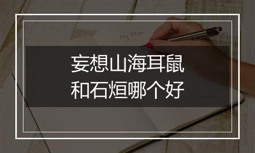 妄想山海耳鼠和石烜哪个好