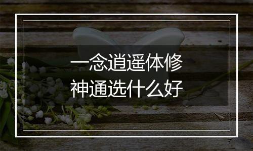 一念逍遥体修神通选什么好