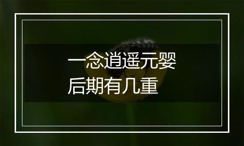 一念逍遥元婴后期有几重