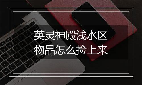 英灵神殿浅水区物品怎么捡上来