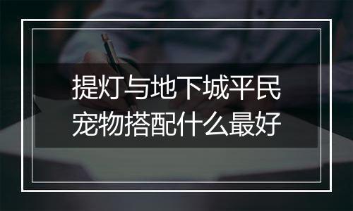 提灯与地下城平民宠物搭配什么最好