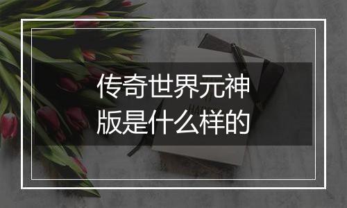 传奇世界元神版是什么样的