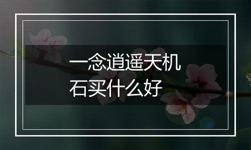 一念逍遥天机石买什么好