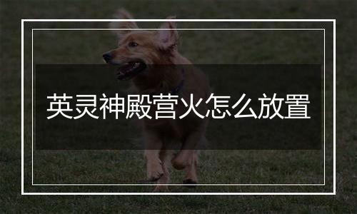 英灵神殿营火怎么放置