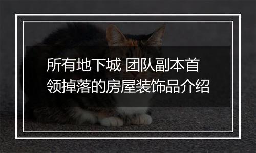 所有地下城 团队副本首领掉落的房屋装饰品介绍