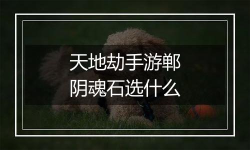天地劫手游郸阴魂石选什么
