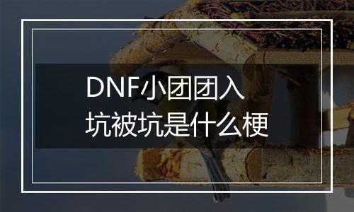 DNF小团团入坑被坑是什么梗
