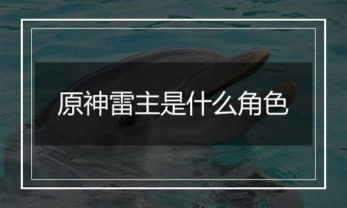 原神雷主是什么角色