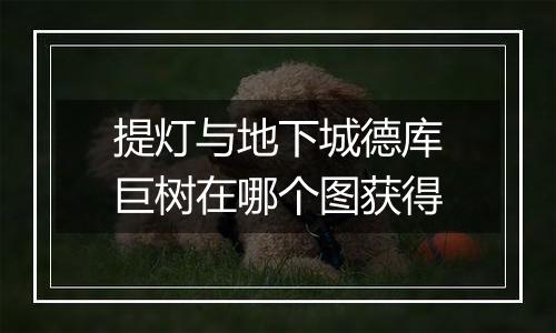 提灯与地下城德库巨树在哪个图获得