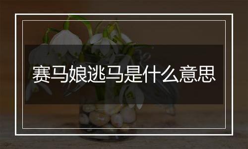 赛马娘逃马是什么意思