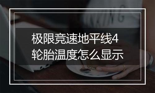 极限竞速地平线4轮胎温度怎么显示