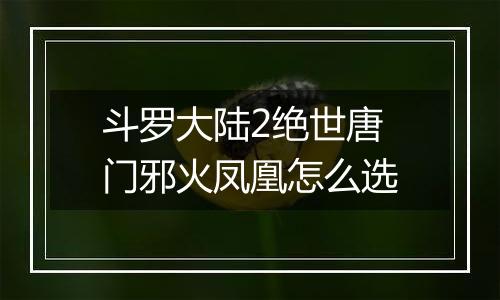 斗罗大陆2绝世唐门邪火凤凰怎么选