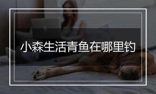 小森生活青鱼在哪里钓