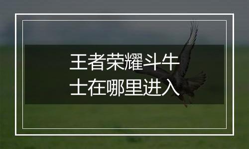 王者荣耀斗牛士在哪里进入