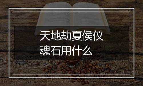 天地劫夏侯仪魂石用什么