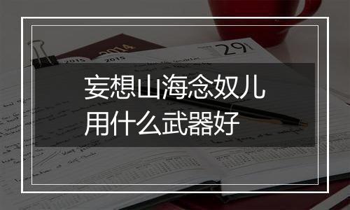 妄想山海念奴儿用什么武器好