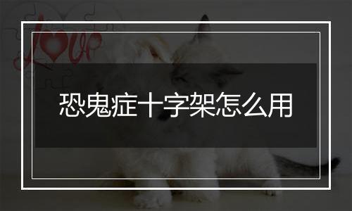 恐鬼症十字架怎么用