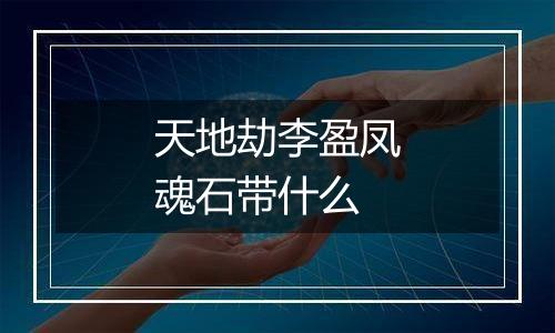 天地劫李盈凤魂石带什么