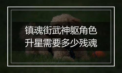 镇魂街武神躯角色升星需要多少残魂