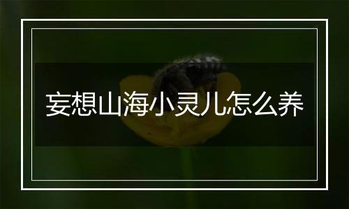 妄想山海小灵儿怎么养