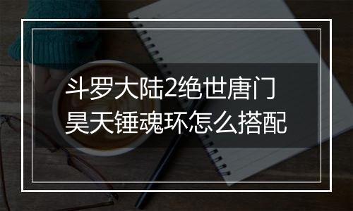 斗罗大陆2绝世唐门昊天锤魂环怎么搭配