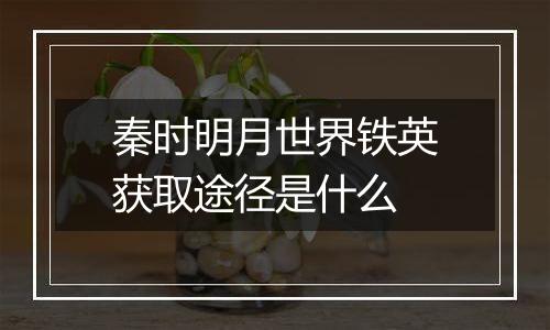 秦时明月世界铁英获取途径是什么