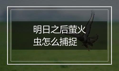明日之后萤火虫怎么捕捉