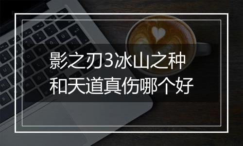 影之刃3冰山之种和天道真伤哪个好