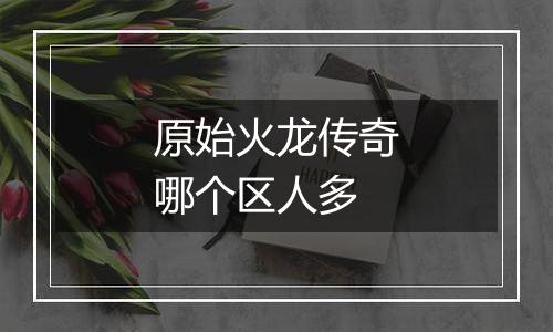 原始火龙传奇哪个区人多