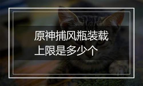 原神捕风瓶装载上限是多少个