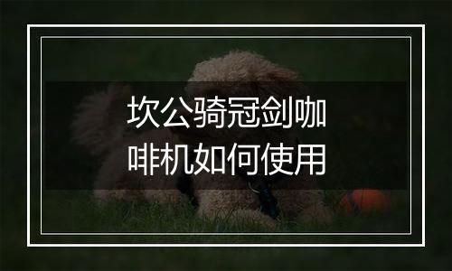 坎公骑冠剑咖啡机如何使用