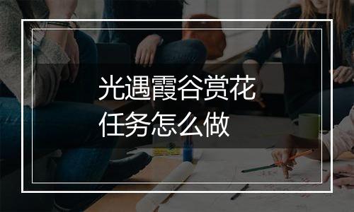 光遇霞谷赏花任务怎么做