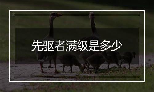 先驱者满级是多少