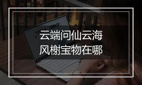 云端问仙云海风榭宝物在哪