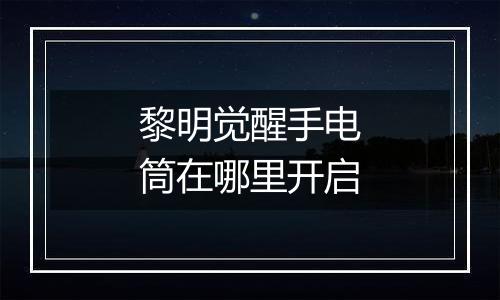 黎明觉醒手电筒在哪里开启