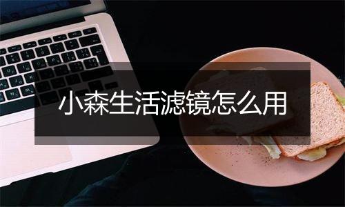 小森生活滤镜怎么用