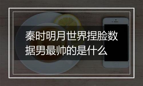 秦时明月世界捏脸数据男最帅的是什么
