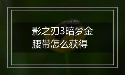 影之刃3暗梦金腰带怎么获得