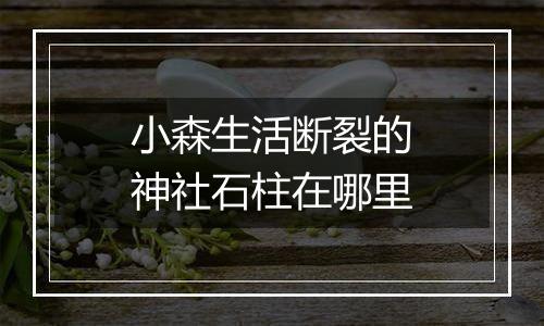 小森生活断裂的神社石柱在哪里