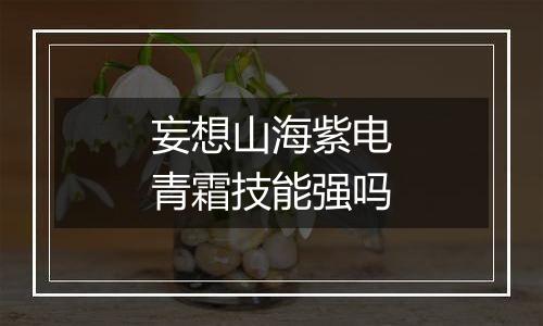 妄想山海紫电青霜技能强吗