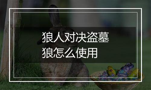 狼人对决盗墓狼怎么使用