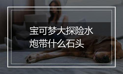 宝可梦大探险水炮带什么石头