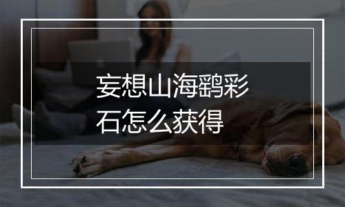 妄想山海鹞彩石怎么获得